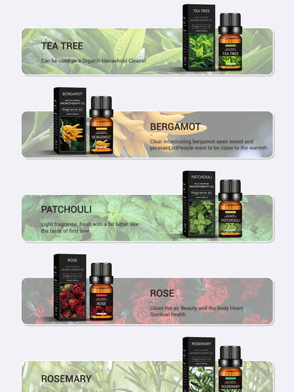Premium Essential Oil Collection - 20 Scents for Diffusers & Humidifiers
