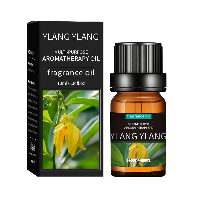 Premium Essential Oil Collection - 20 Scents for Diffusers & Humidifiers