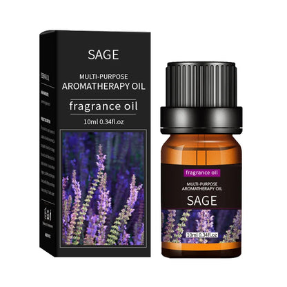 Premium Essential Oil Collection - 20 Scents for Diffusers & Humidifiers