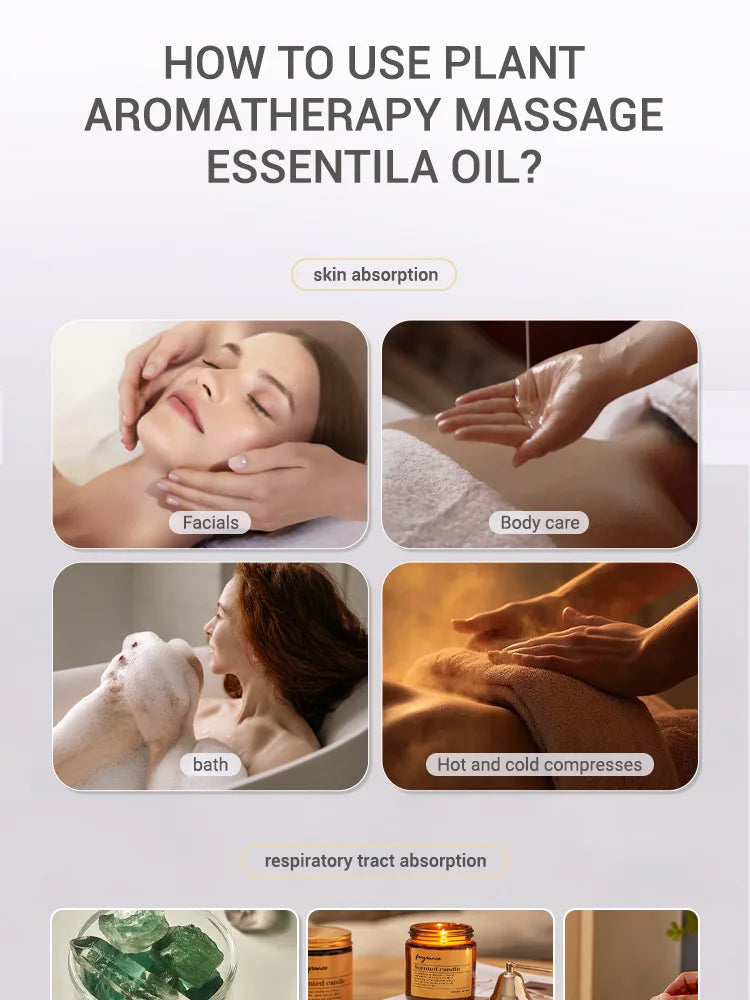 Premium Essential Oil Collection - 20 Scents for Diffusers & Humidifiers