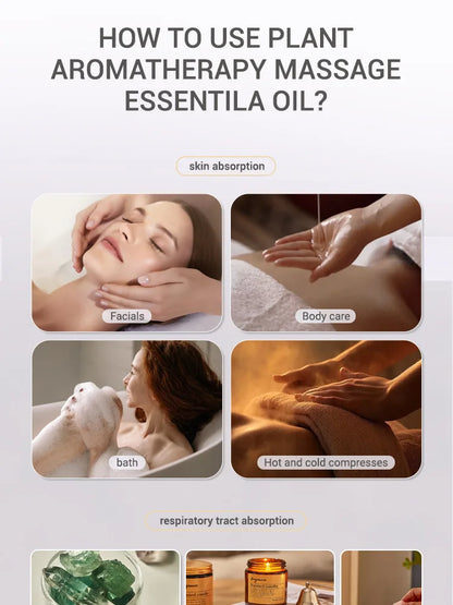 Premium Essential Oil Collection - 20 Scents for Diffusers & Humidifiers