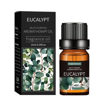 Premium Essential Oil Collection - 20 Scents for Diffusers & Humidifiers