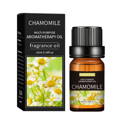 Premium Essential Oil Collection - 20 Scents for Diffusers & Humidifiers